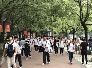 温州中学附近吃瓜,夏日吃瓜好去处大盘点