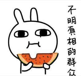 吃瓜吃枣的文案短句搞笑