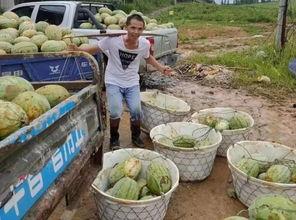 乡村吃瓜群众,揭秘农村生活百态