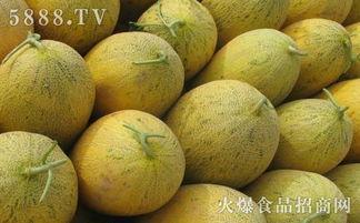 坐完月子哈密瓜可以吃吗,哈密瓜的适宜食用指南